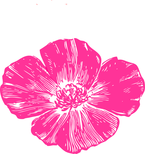 Hot Pink Poppy Clip Art At Clker - Pink Poppy Flower Clip Art (564x599), Png Download