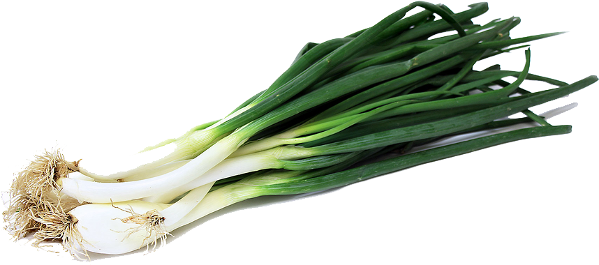 Green Onion Png Image - Green Onion Png (872x382), Png Download