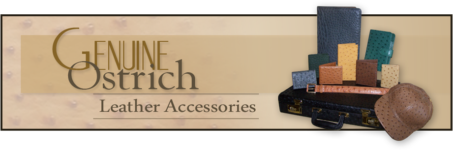 Mens & Womens Ostrich Leather Accessories - Ostrich Wallet Mens (950x305), Png Download
