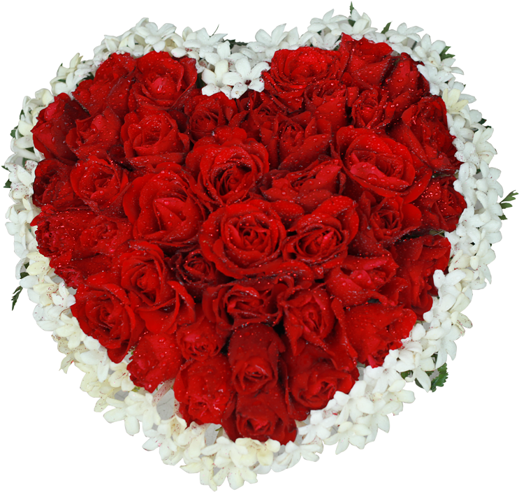 Heart Shape With 80 Red Roses - Floribunda (800x770), Png Download