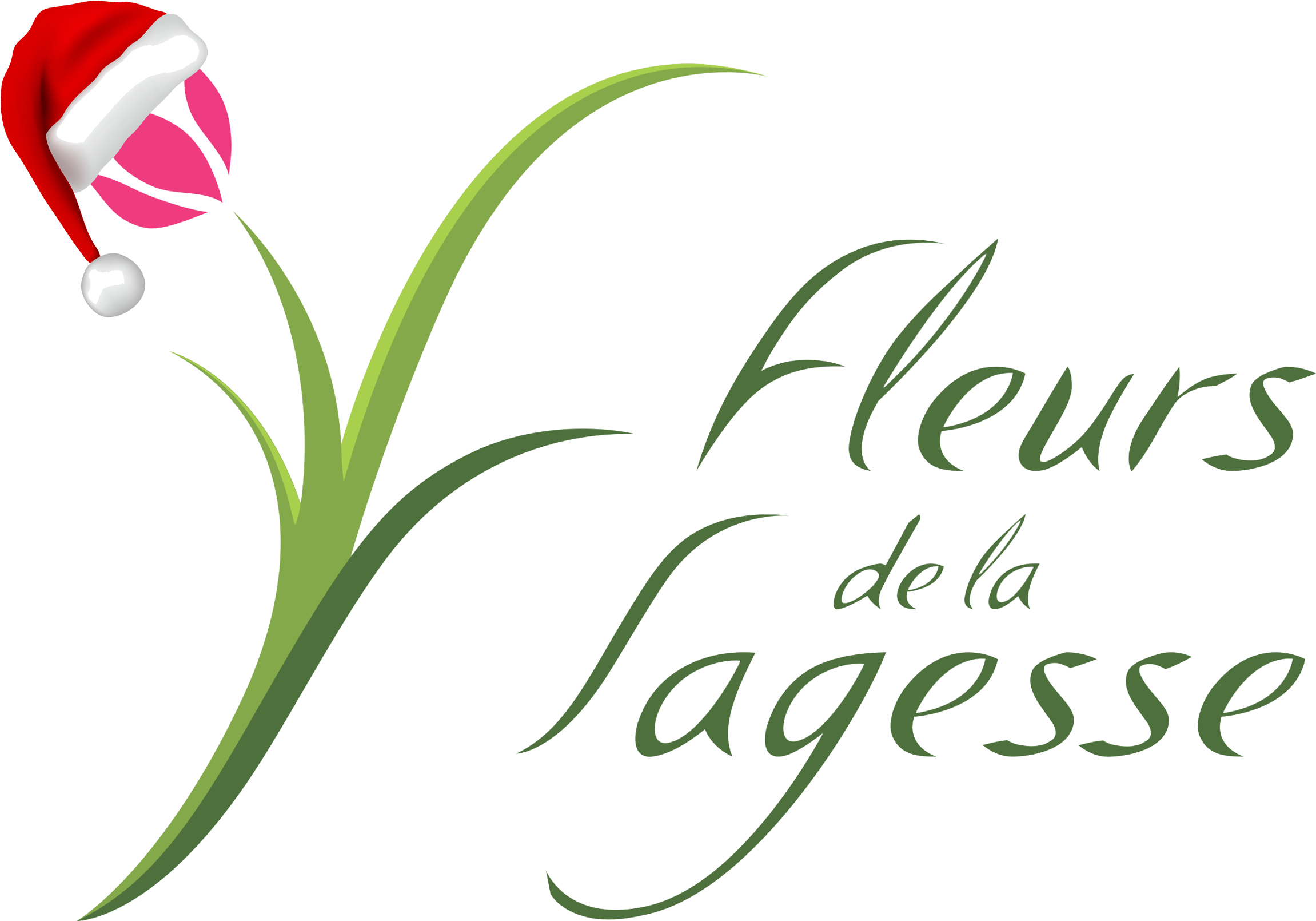Flowers - Fleurs De La Sagesse (2331x1790), Png Download