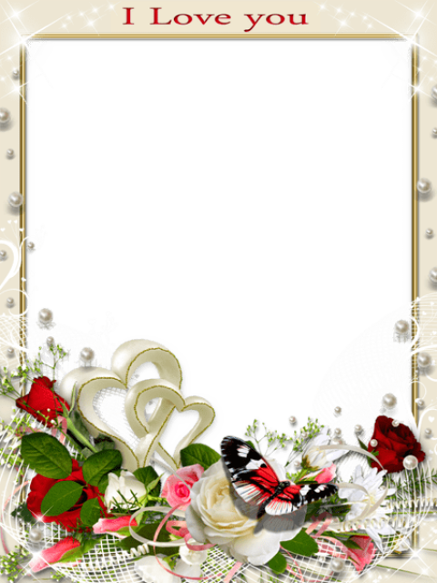 Transparent Romantic Frame Love You Png Photo, Photo - Love Romantic Photo Frame (450x600), Png Download