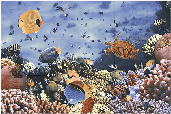 Under Water - St. Thomas, U.s. Virgin Islands - Underwater Coral (600x600), Png Download