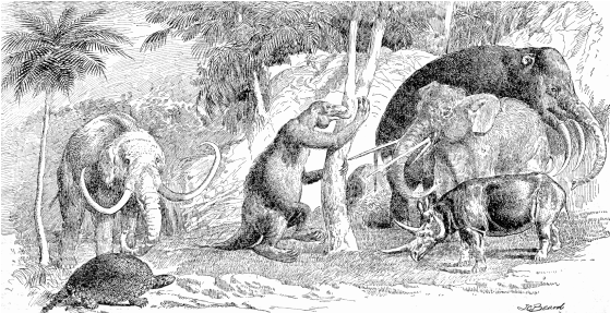 Cenozoic Cosmo 1894 Beard 1913 - Era Cenozoico (558x462), Png Download