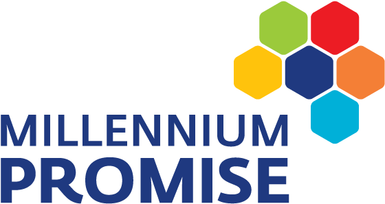 Millennium Alliance Conducts Round 3 Awardee Pitching - Millennium Promise (600x300), Png Download
