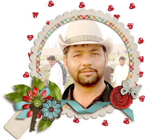 Ch Tahir Hong Kong - Artificial Flower (500x470), Png Download
