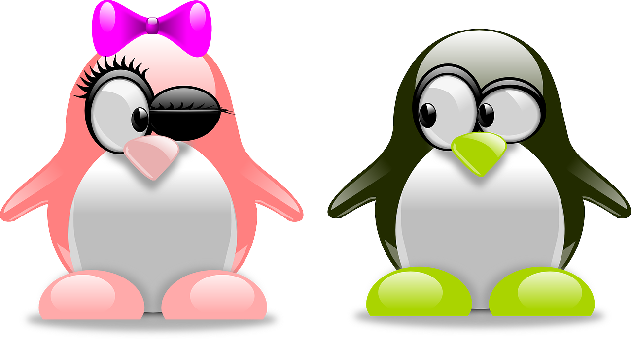 Valentines Day Couple Png High-quality Image - Valentines Penguin (1280x689), Png Download