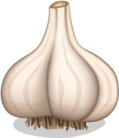 Svg Download Png File Free Images Toppng Transparent - Garlic Icon (480x480), Png Download