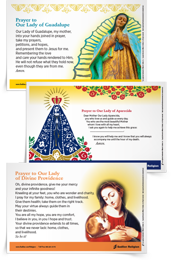 Marian Devotion - Our Lady Of Divine Providence Laminated Holy Card - (350x532), Png Download