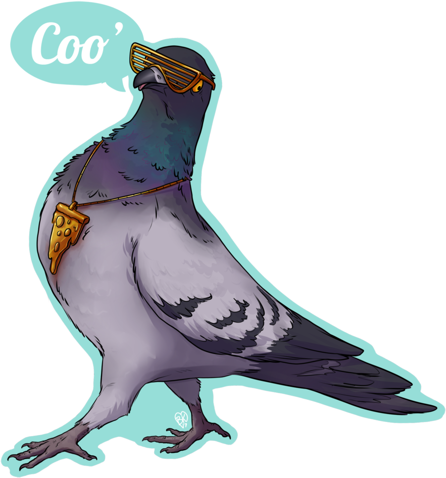 Coopigeon - Portable Network Graphics (1000x1000), Png Download