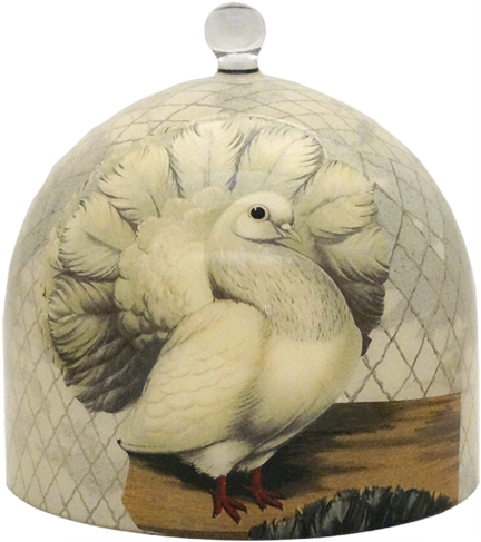 Pigeons Dome - Duck (500x500), Png Download