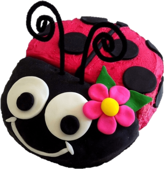 1st Birthday - Birthday (600x600), Png Download