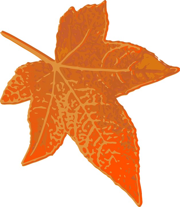 Maple Leaf Clipart Brown - Brown Leaves Transparent Clip Art (628x720), Png Download