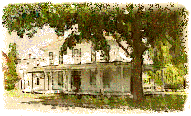 Goff House - Tree (614x372), Png Download