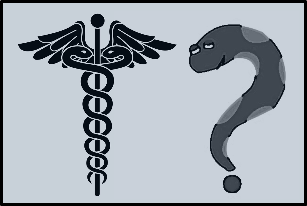 What Is The Difference Between The Different Types - Logo Of Doctors (1022x685), Png Download