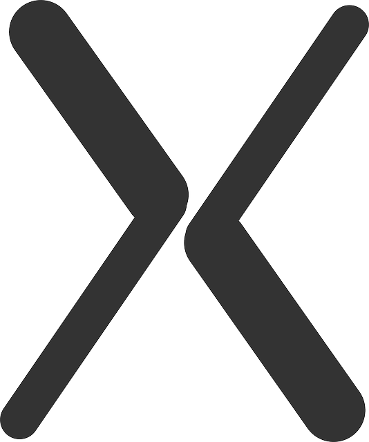 Letter X, Logo, Icon, Symbol, X Marks The Spot - Logotipo X (534x640), Png Download