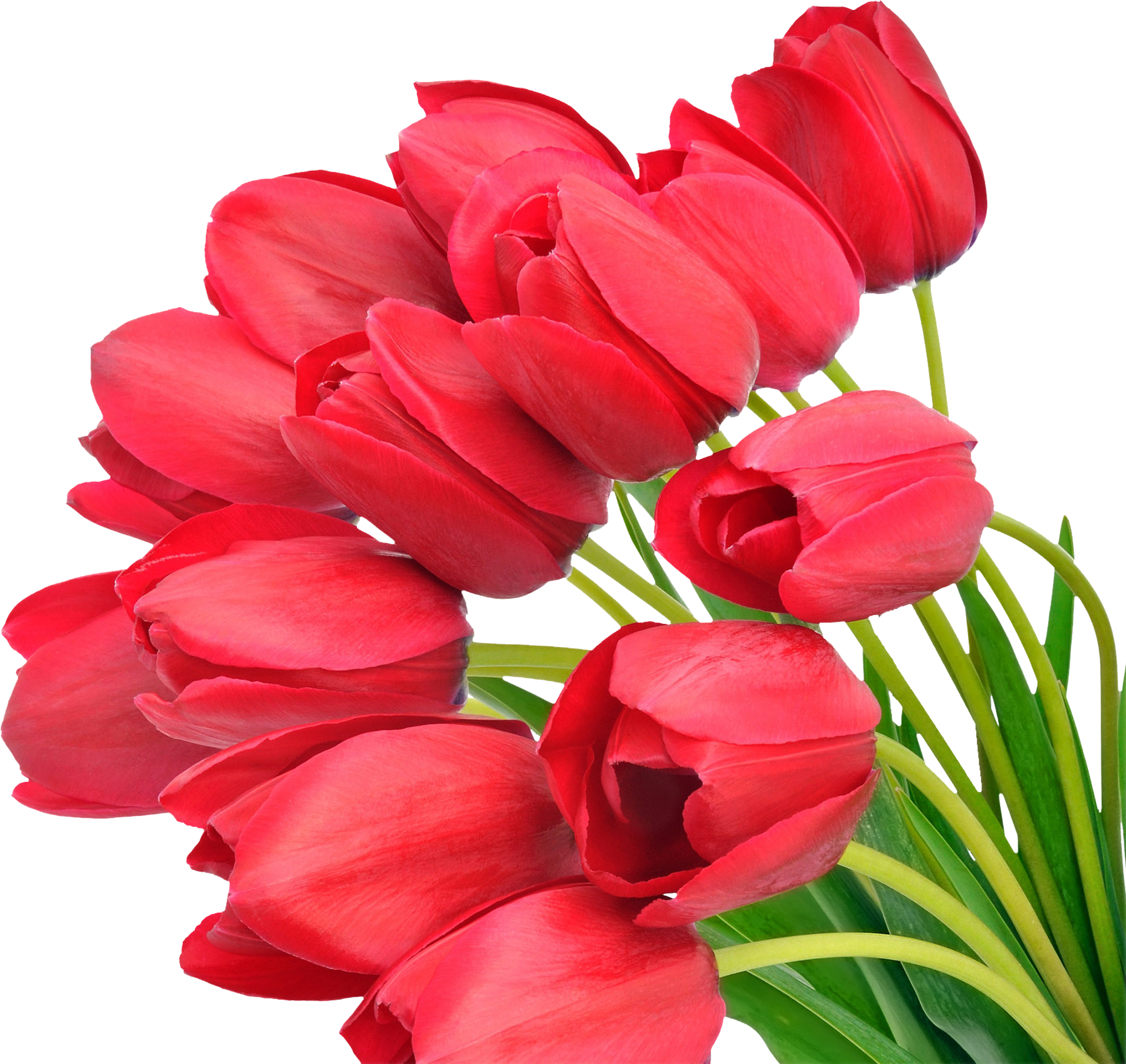 Bouquet Of Flowers Transparent Png File (2659x2570), Png Download