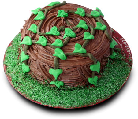 United King Tree Cake 2lbs - Karachi (504x656), Png Download
