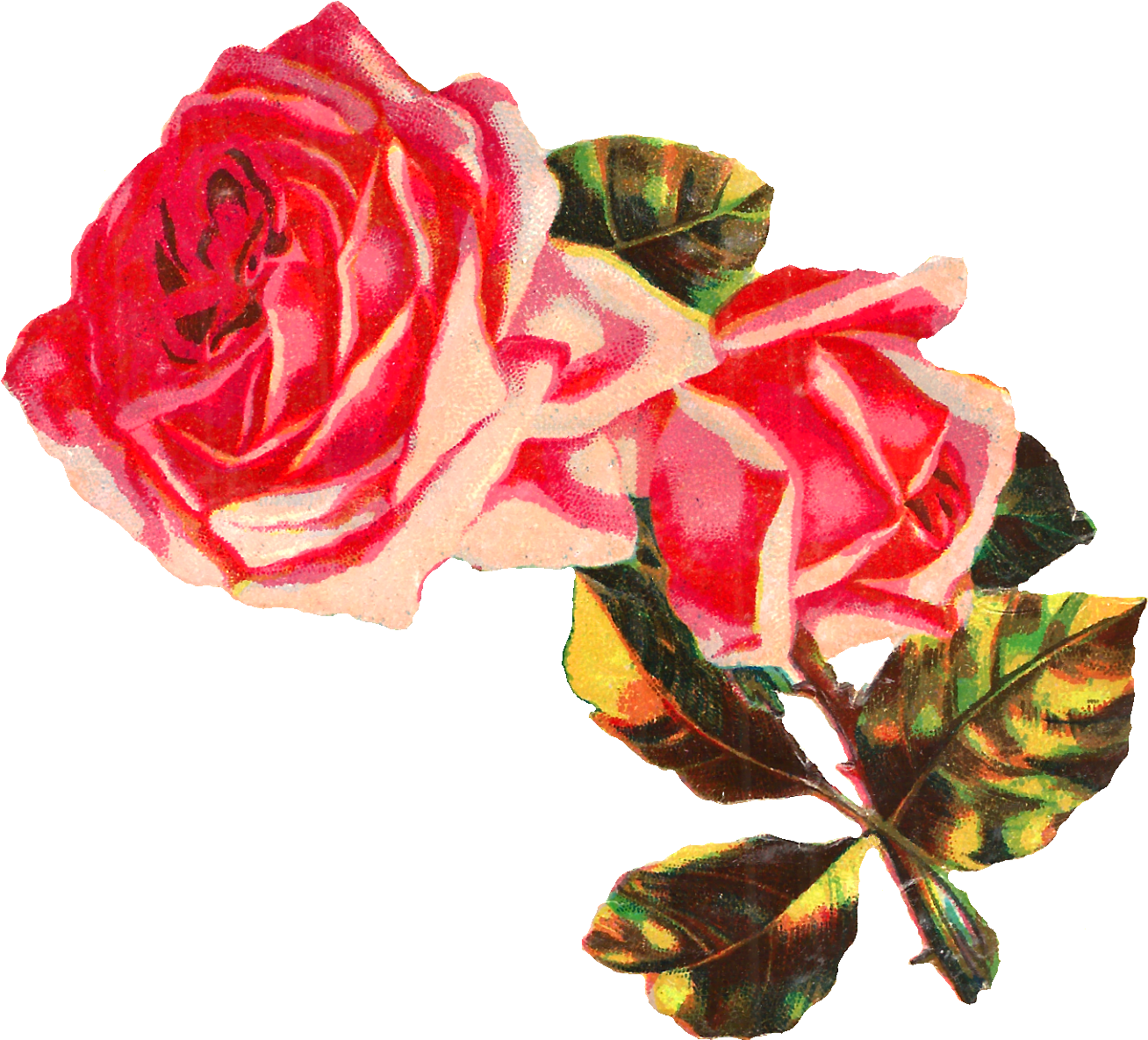 Rose Flower Pink Shabby Chic Botanical Download Clipart - Clip Art (1500x1291), Png Download