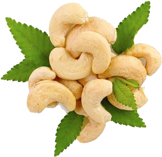 Cashew Png Hd - Hd Cashew (394x340), Png Download