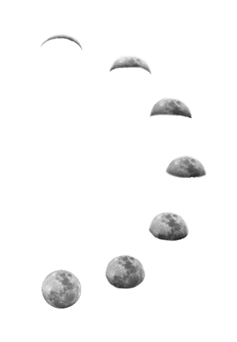 Picsart Overlay Png Transparent (480x692), Png Download