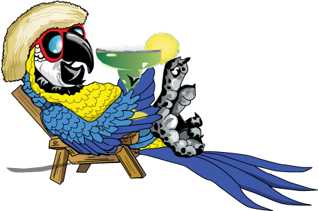 Castle Hills Spring Concert Series - Parrot Margarita (488x331), Png Download