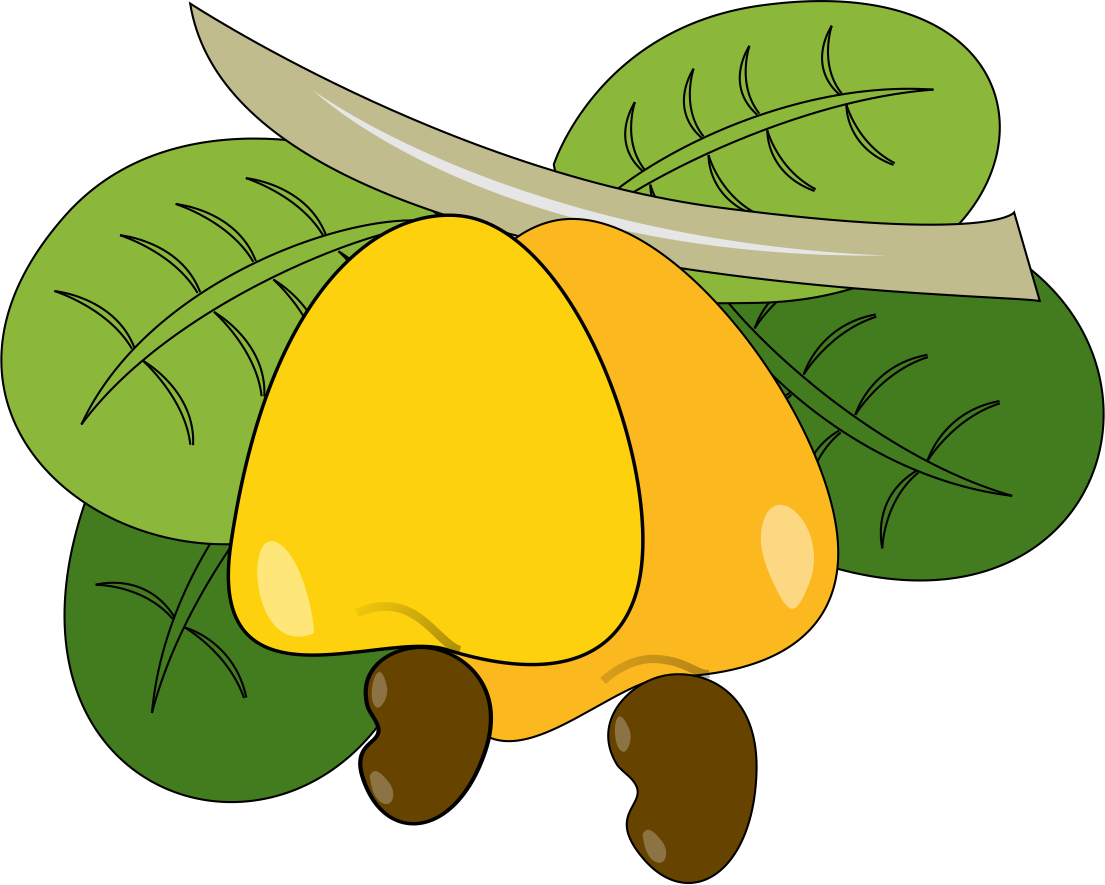 Download Cashew Yellow Nut Free Pnglogocoloring Pages Cashew Fruit