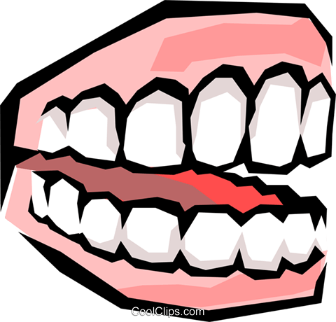 Teeth Royalty Free Vector Clip Art Illustration - Set Of Teeth Clipart (480x460), Png Download