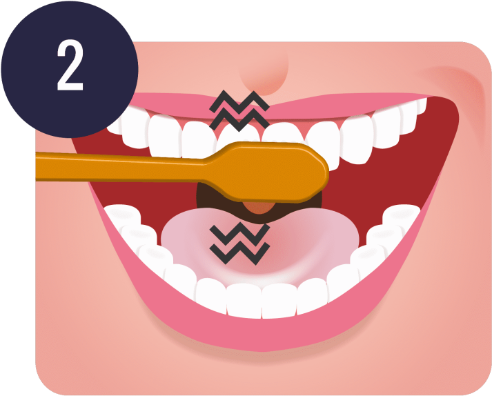 Free Download Brushing Teeth Png Clipart Tooth Brushing - Step Brushing Teeth Png (800x630), Png Download