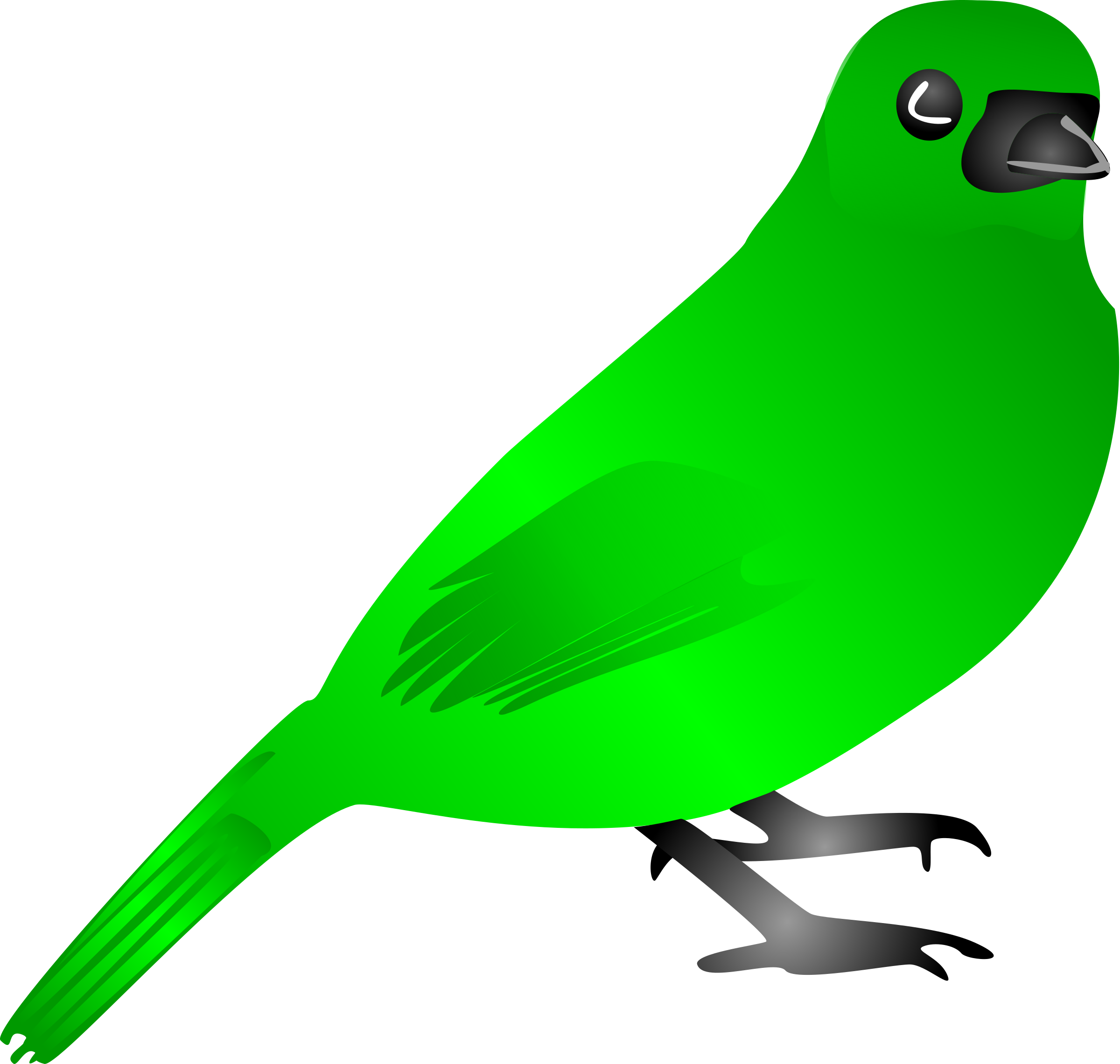 Animals And Birds Images - Birds Clip Art (2400x2280), Png Download
