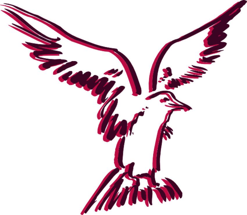 How To Set Use Flying Bird Outline Svg Vector (600x521), Png Download