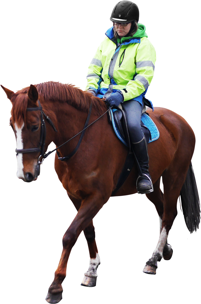 Horse Riding Png Image - Horse Riding Transparent Png (690x1024), Png Download
