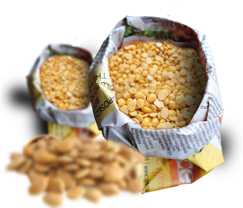 Venkateshwara Associates (487x460), Png Download