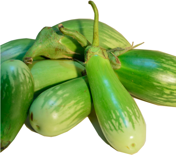 Brinjal Long - White Brinjal (600x598), Png Download
