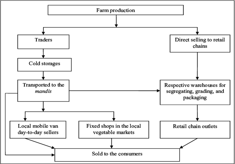 Marketing Chain For Brinjal - Diagram (850x572), Png Download
