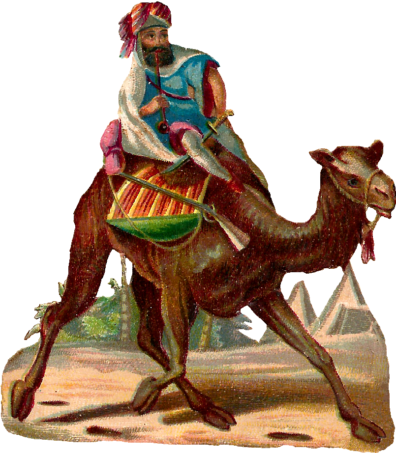 Camel Rider Image - Camel Rider Art (905x1012), Png Download