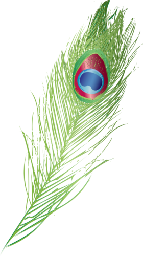 About The Company - Peafowl (280x500), Png Download