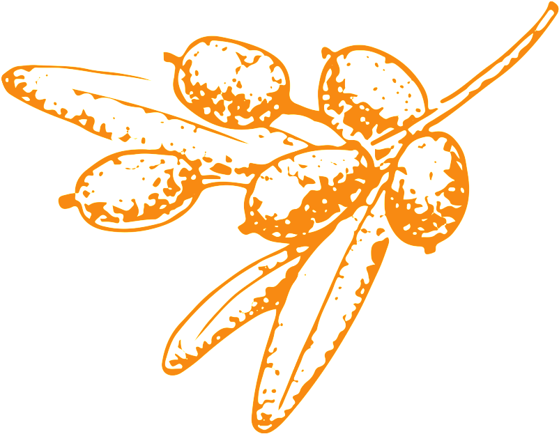 Hand Drawn Fruit Transparent Vegetables - Guestbook (1024x1024), Png Download