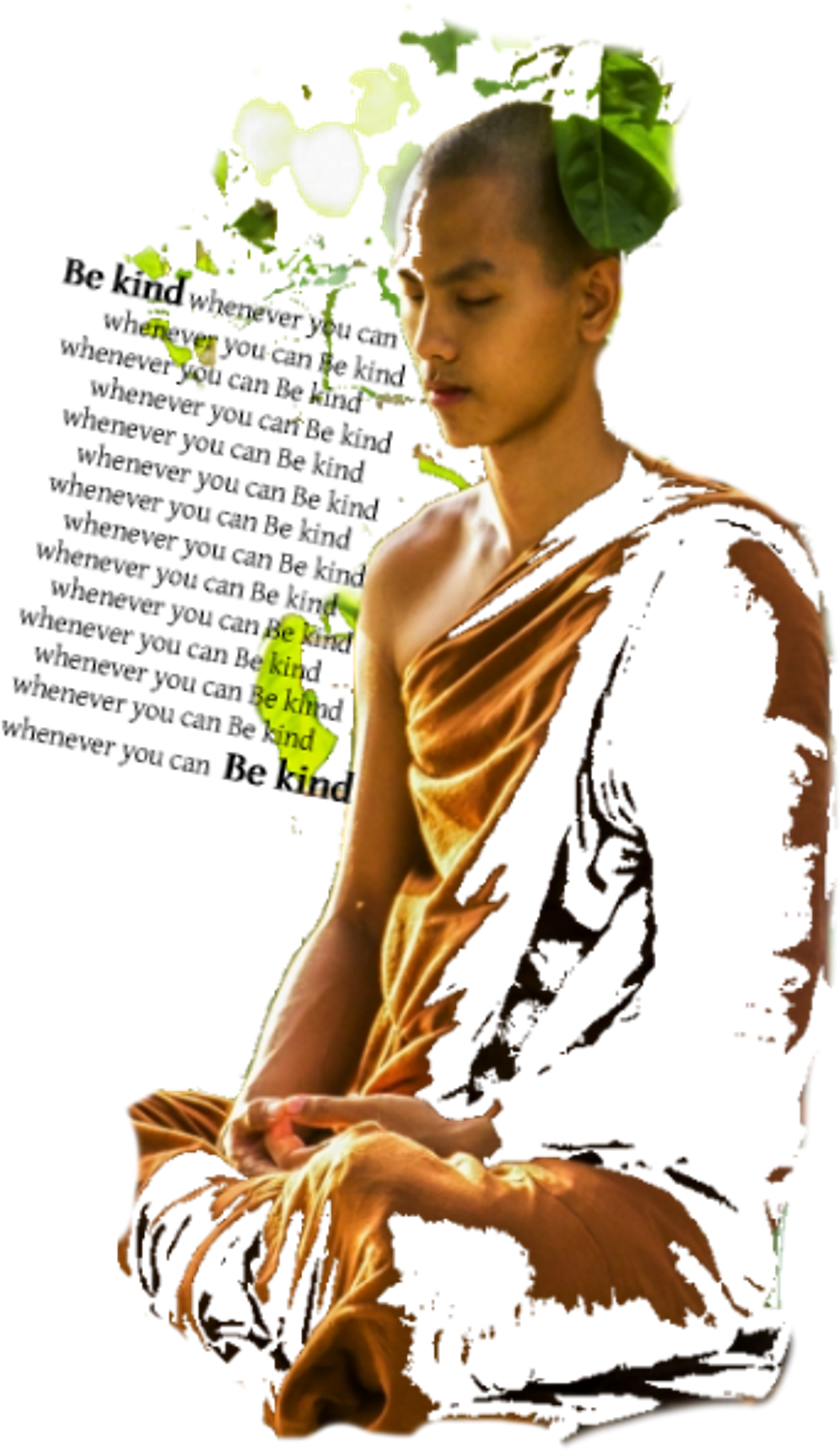 Begginer's Mind (2678x4172), Png Download