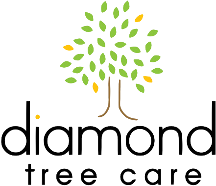 Diamond Tree Care - Certified Arborist (441x379), Png Download
