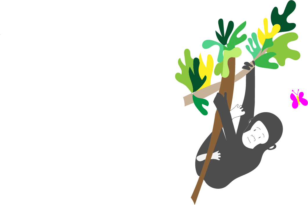 1 Reply 0 Retweets 3 Likes - Mountain Gorilla (1061x706), Png Download