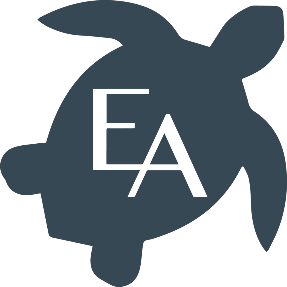 Turtle - Sign (1000x1001), Png Download