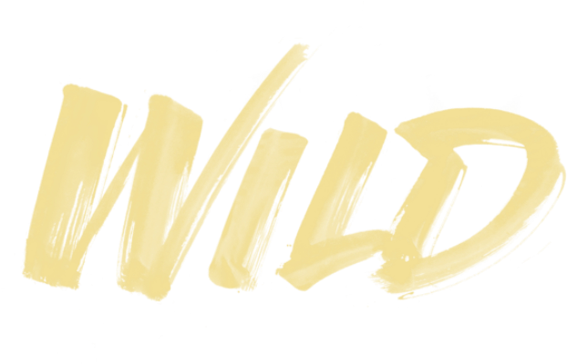 Troye Sivan - Wild - Troye Sivan Wild Album Art (656x500), Png Download