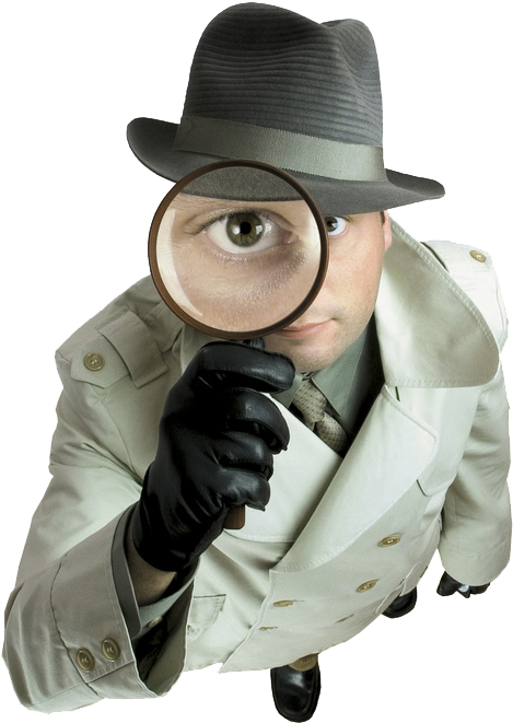Welcome To Indian Lady Detective - Private Detective (491x554), Png Download