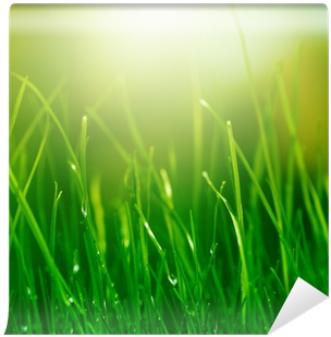 Ecopharmacology And Its Future Forensic Implications (400x400), Png Download