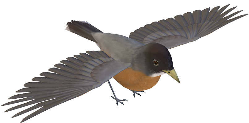Birds Png Images - European Swallow (877x544), Png Download