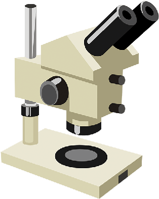 Microscope Clipart - Microscope (314x394), Png Download