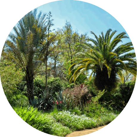 Light Gardenhikari No Niwa - Kitagawa (460x460), Png Download