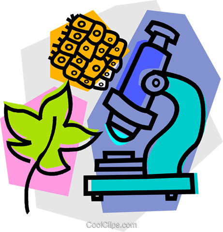 Microscope With Leaf Royalty Free Vector Clip Art Illustration - Applied Electronics And Instrumentation (461x480), Png Download