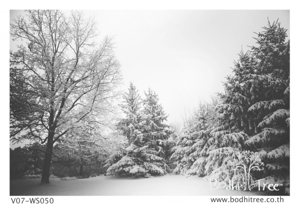Winter Season Scenery Wallpaper Or Fabric & Blinds - Snowstorms (600x800), Png Download